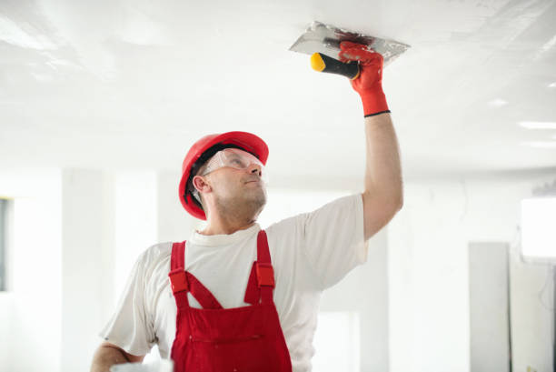 Best Exterior Painting  in Sulphur, LA